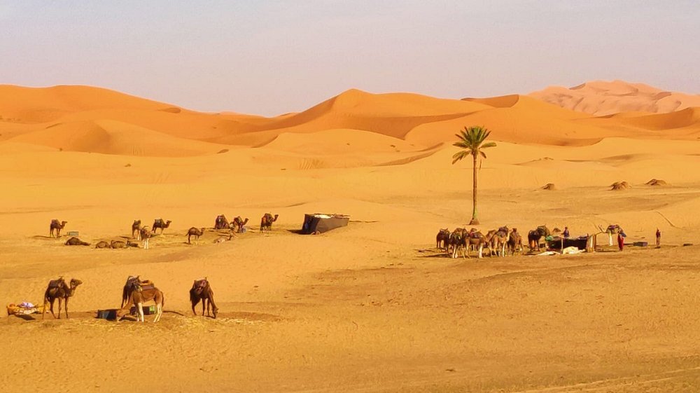 Découvrir Errachidia : un séjour au cœur du Sahara
